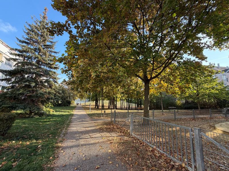 Parkweg in der Umgebung